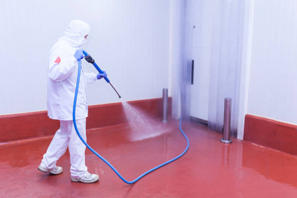  Polk City, FL Pressure Washing Pros